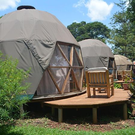 Albergue Jinja Backpackers Exterior foto