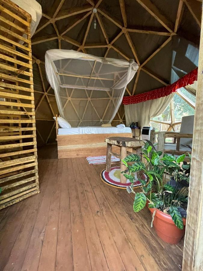 Albergue Jinja Backpackers Exterior foto