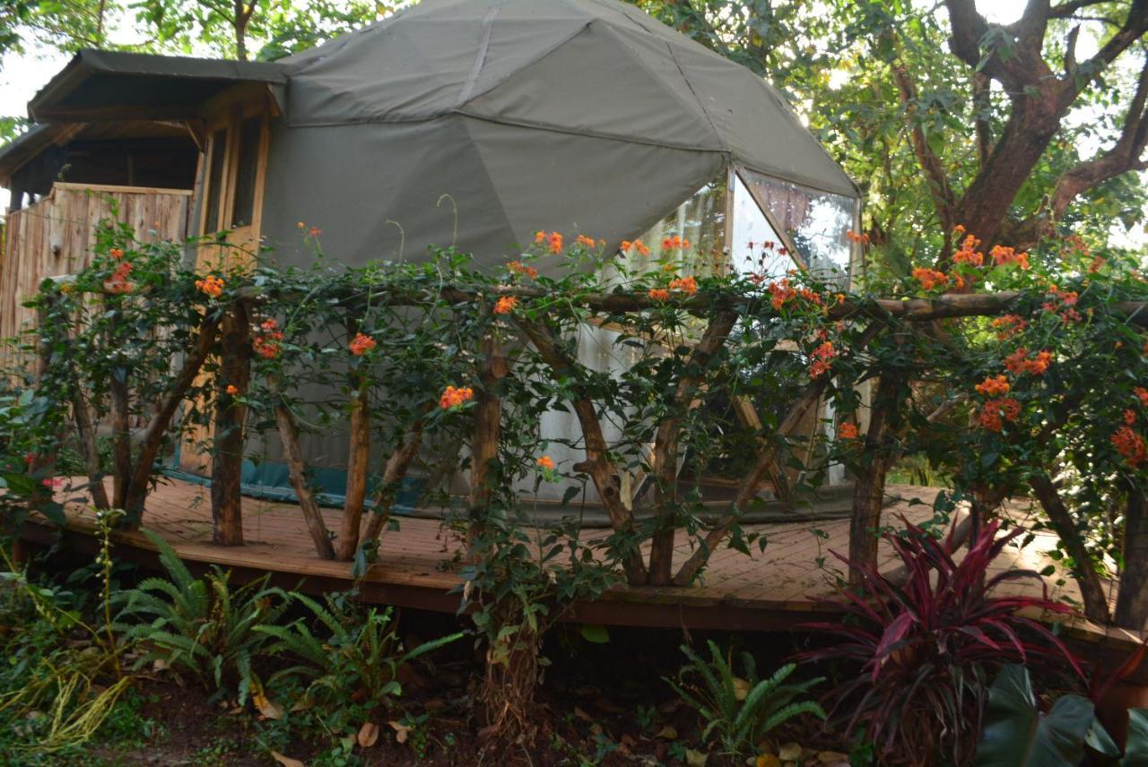 Albergue Jinja Backpackers Exterior foto